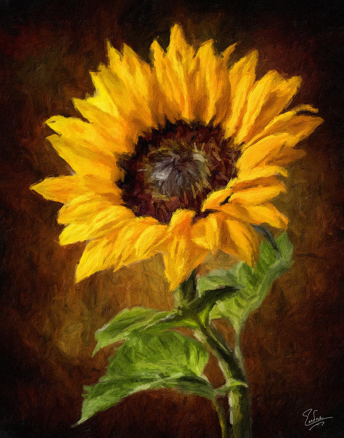 Sunflower Faux Oil Painting Photograph by Endre Balogh