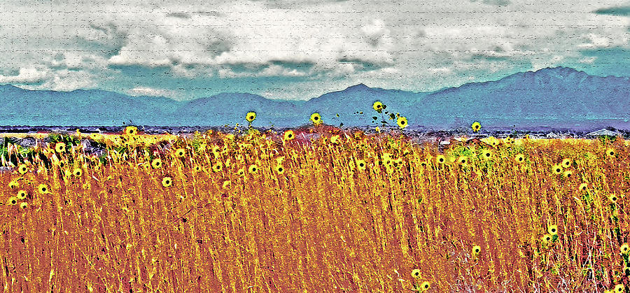 Flower Photograph - Sunflower Field 1 by Steve Ohlsen
