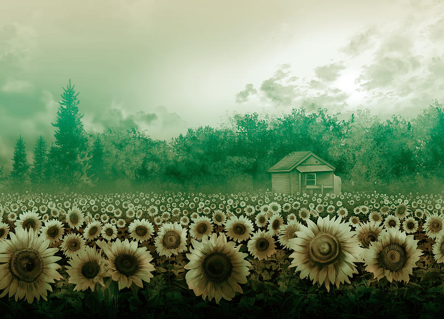 Sunflower Field Green Digital Art by Bekim M