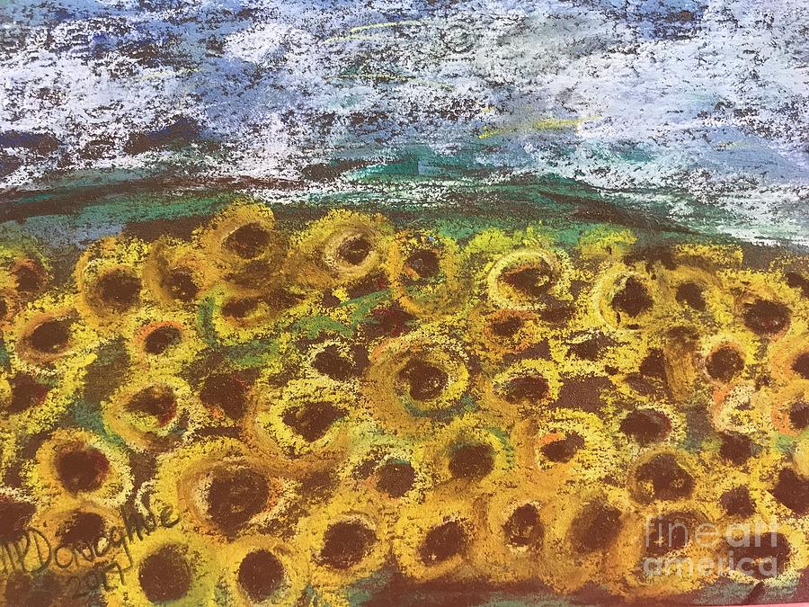 Sunflower field Pastel by Patty Donoghue