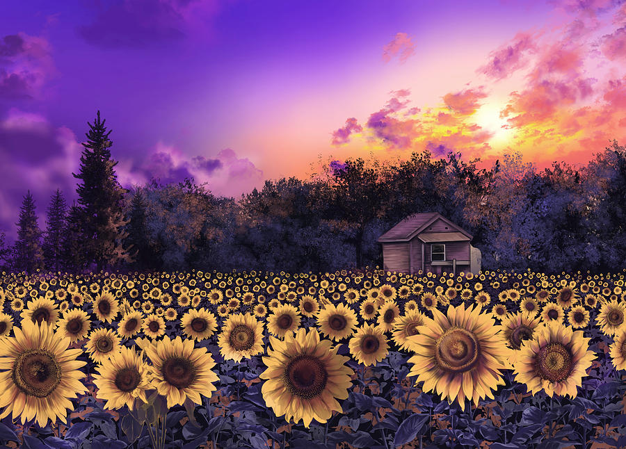 Sunflower Field Purple Painting by Bekim M