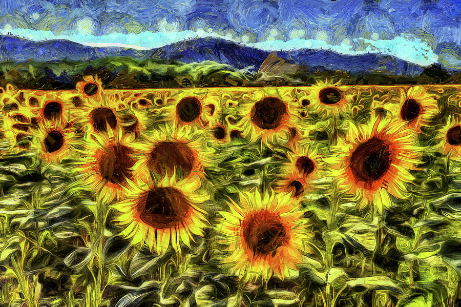 Sunflower Field Van Gogh Mixed Media by David Pyatt