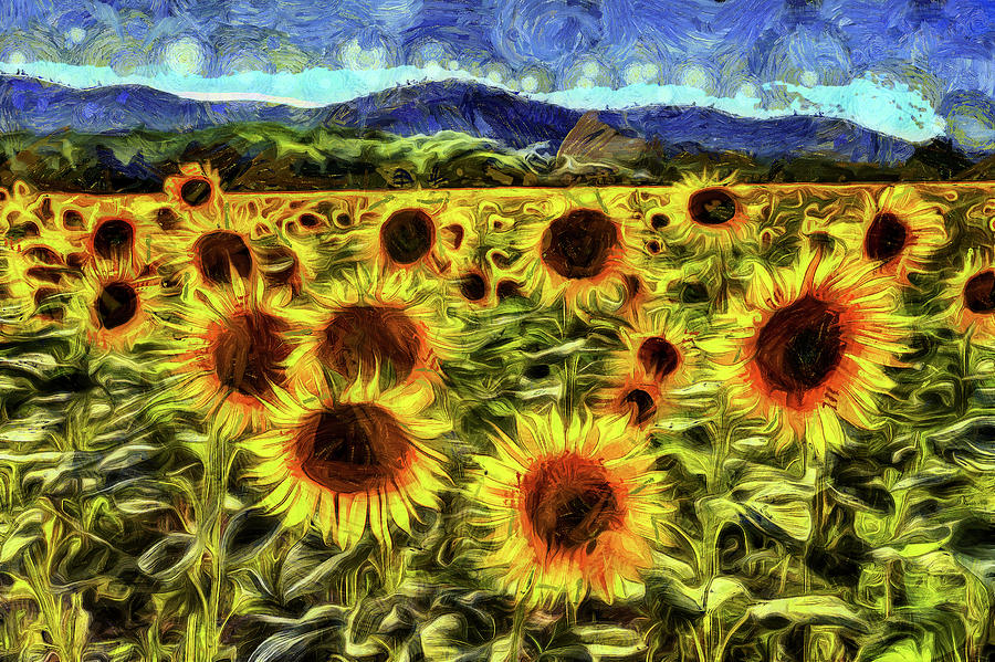 Sunflower Field Van Gogh Mixed Media