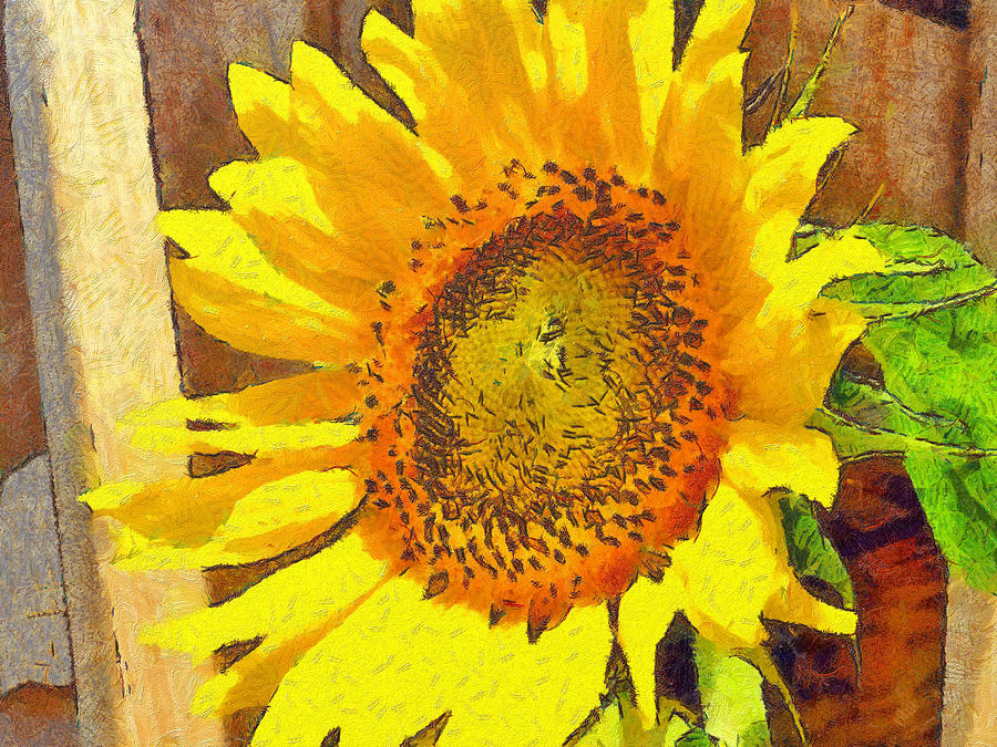 Sunflower growing along a fence Digital Art by Digital Photographic Arts