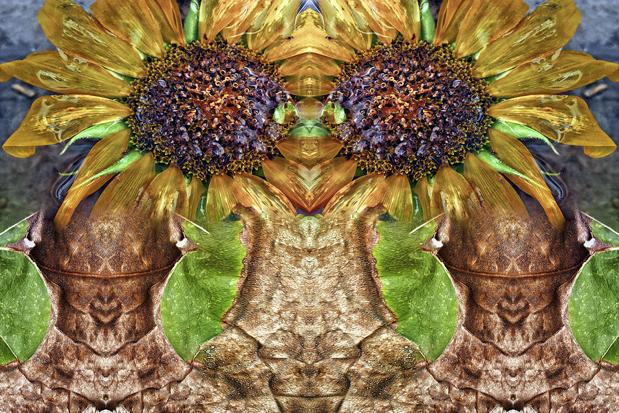 Sunflower Guards Digital Art by Becky Titus