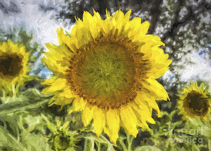 Sunflower Impasto Painting by Janice Pariza