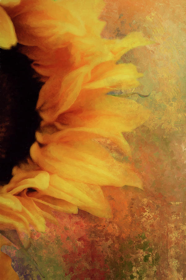 Sunflower Digital Art - Sunflower Impression by Terry Davis