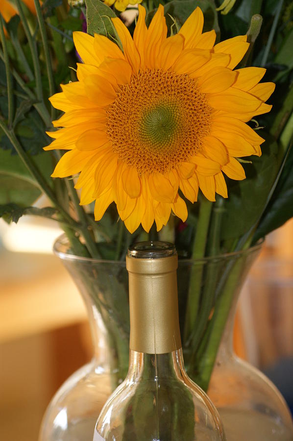 Sunflower in a bottle or is it  vase. Photograph by Liz Vernand