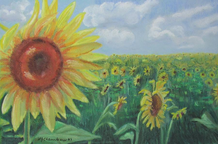 Sunflower In A Field Painting by Donna Chambers
