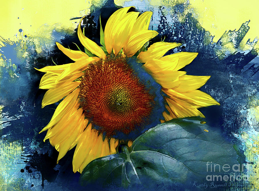 Sunflower in Blue Digital Art by Kathy Russell