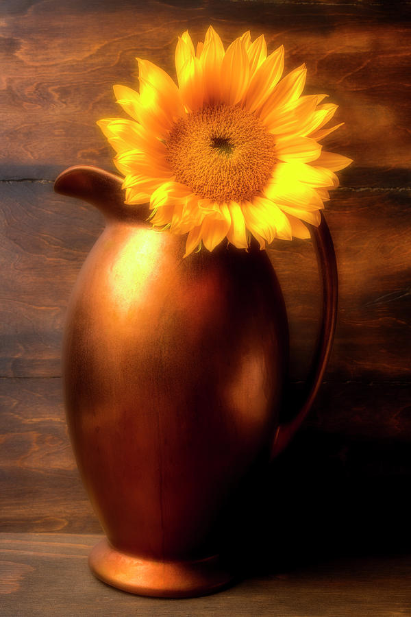 Sunflower In Copper Vase Photograph by Garry Gay