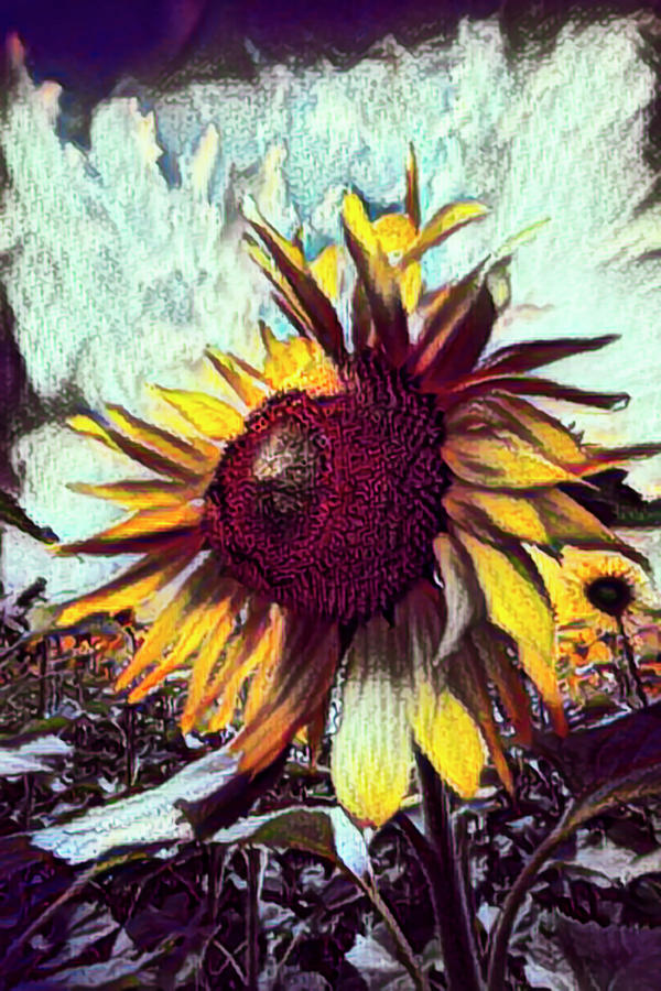 Sunflower in Deep Tones Photograph by Debra and Dave Vanderlaan