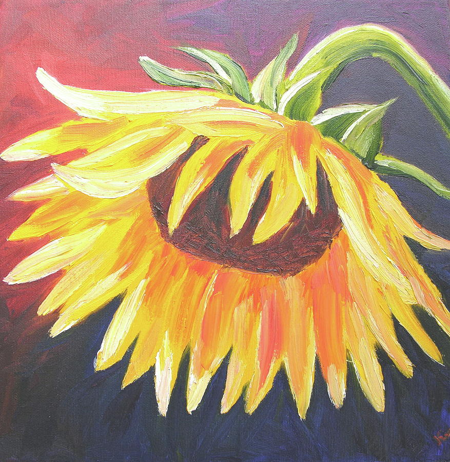 Sunflower In Oils Photograph By Kimberly Castor - Fine Art America