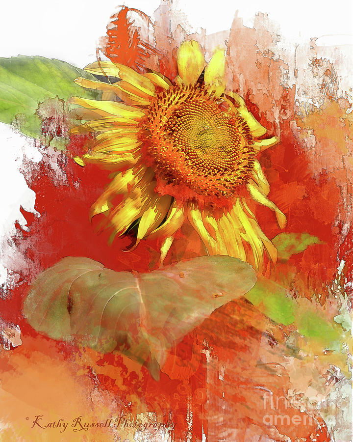 Sunflower in Red Digital Art by Kathy Russell