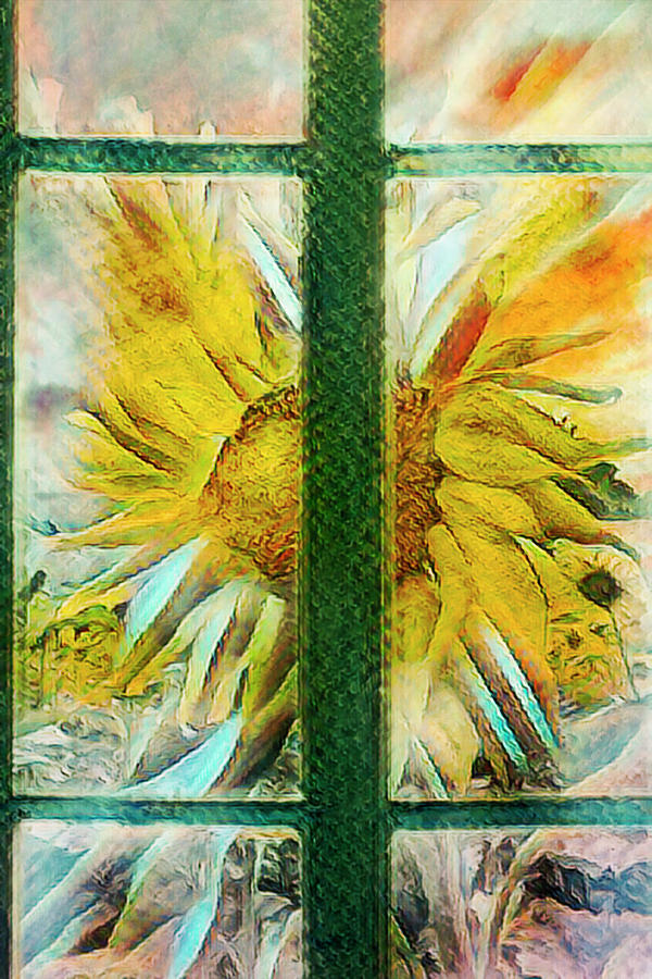 Sunflower in the Garden Window  Photograph by Debra and Dave Vanderlaan