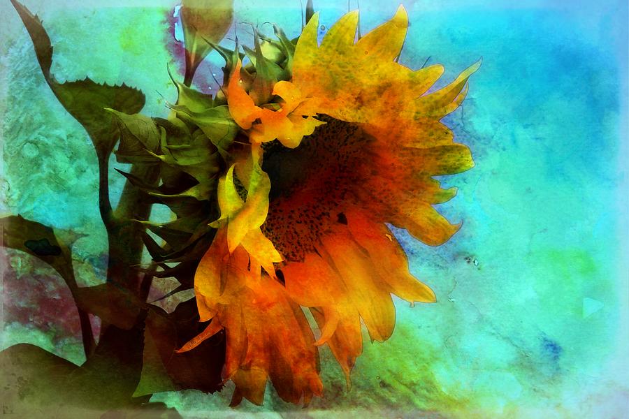 Sunflower In Watercolor Mixed Media by Barbara Chichester