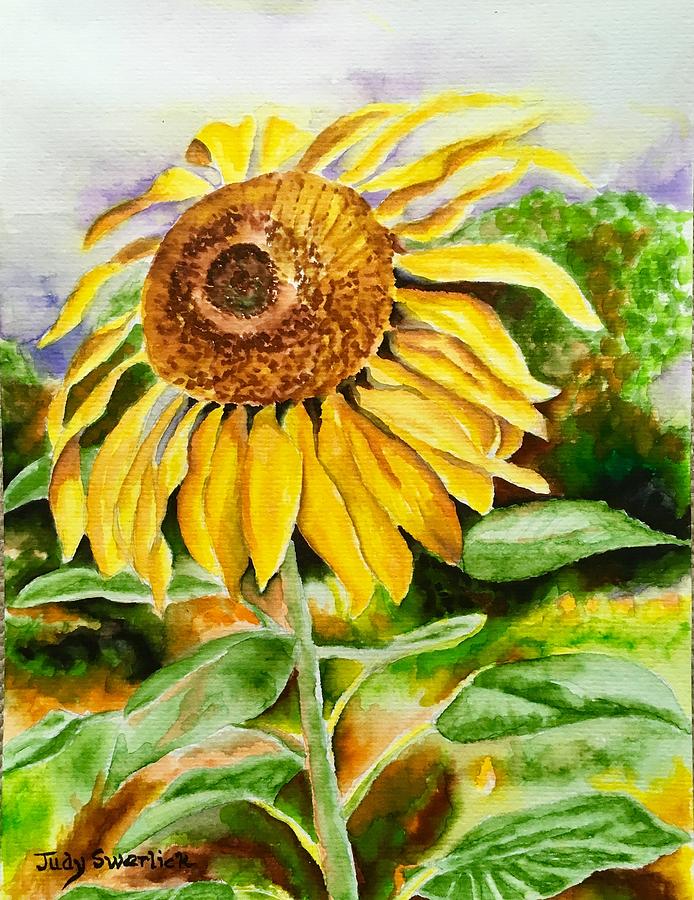 Sunflower Painting by Judy Swerlick