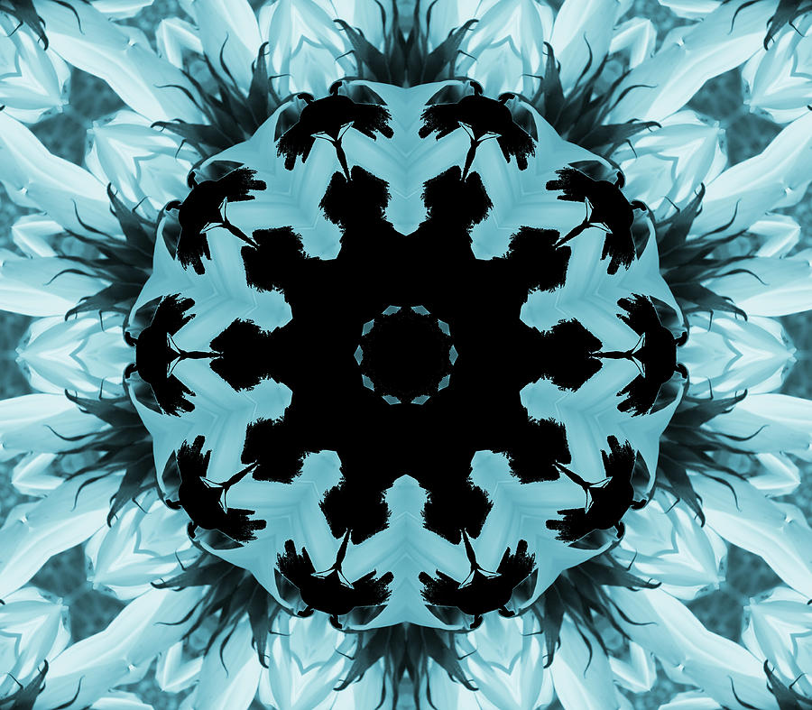 Sunflower Kaleidoscope in Blue Digital Art by Aimee L Maher ALM GALLERY