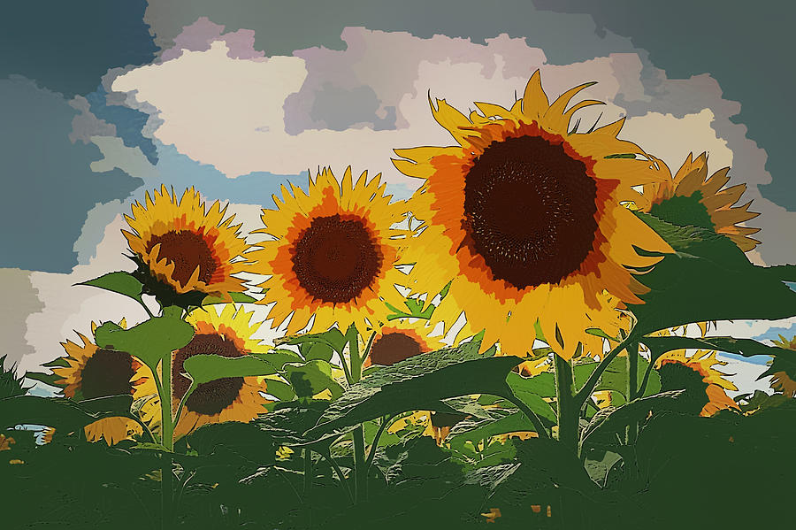 Sunflower Digital Art by Lora Battle - Fine Art America