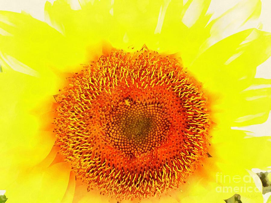 Sunflower Photograph - Sunflower - Love Blooming by Janine Riley