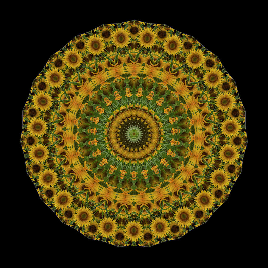 Abstract Photograph - Sunflower Mandala by Mark Kiver