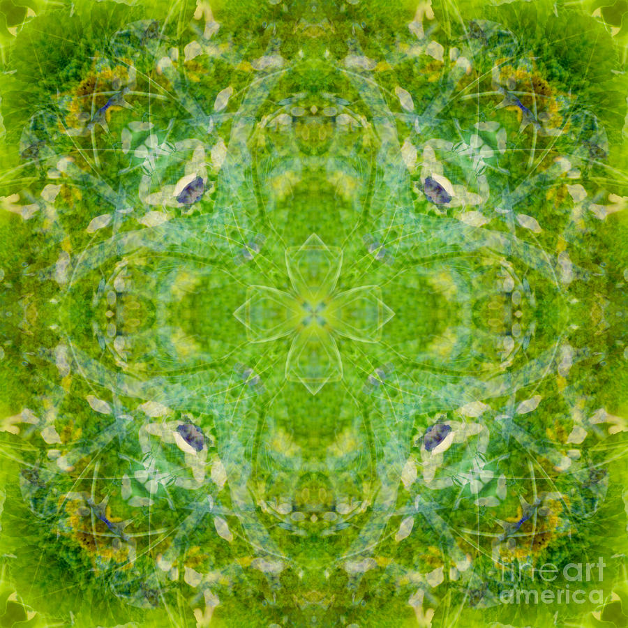 Sunflower Mandala Digital Art by Susan Bloom - Fine Art America