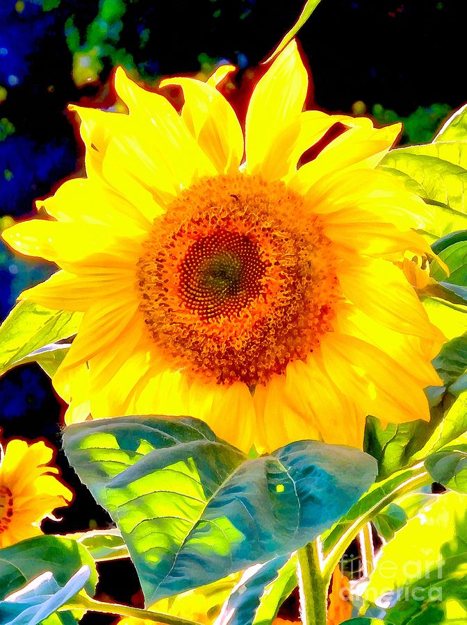 Sunflower Margarita - Marguerita Mixed Media by Janine Riley