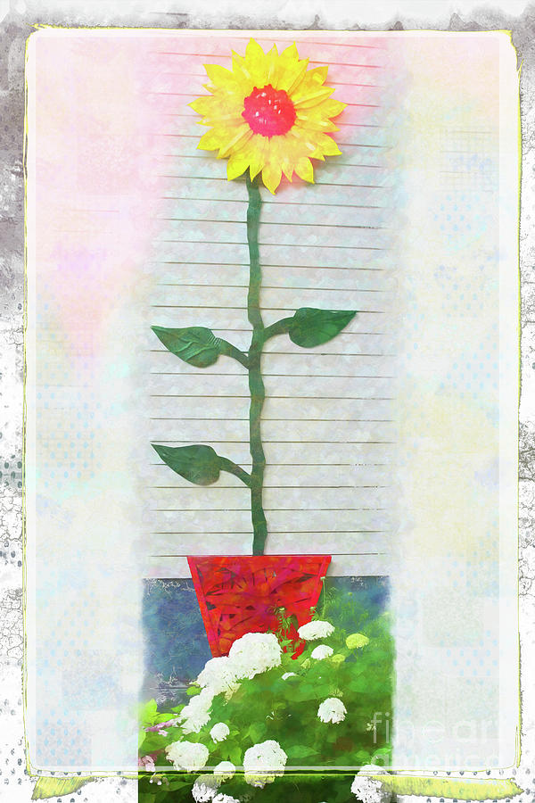 Garden Photograph - Sunflower  by Marilyn Cornwell