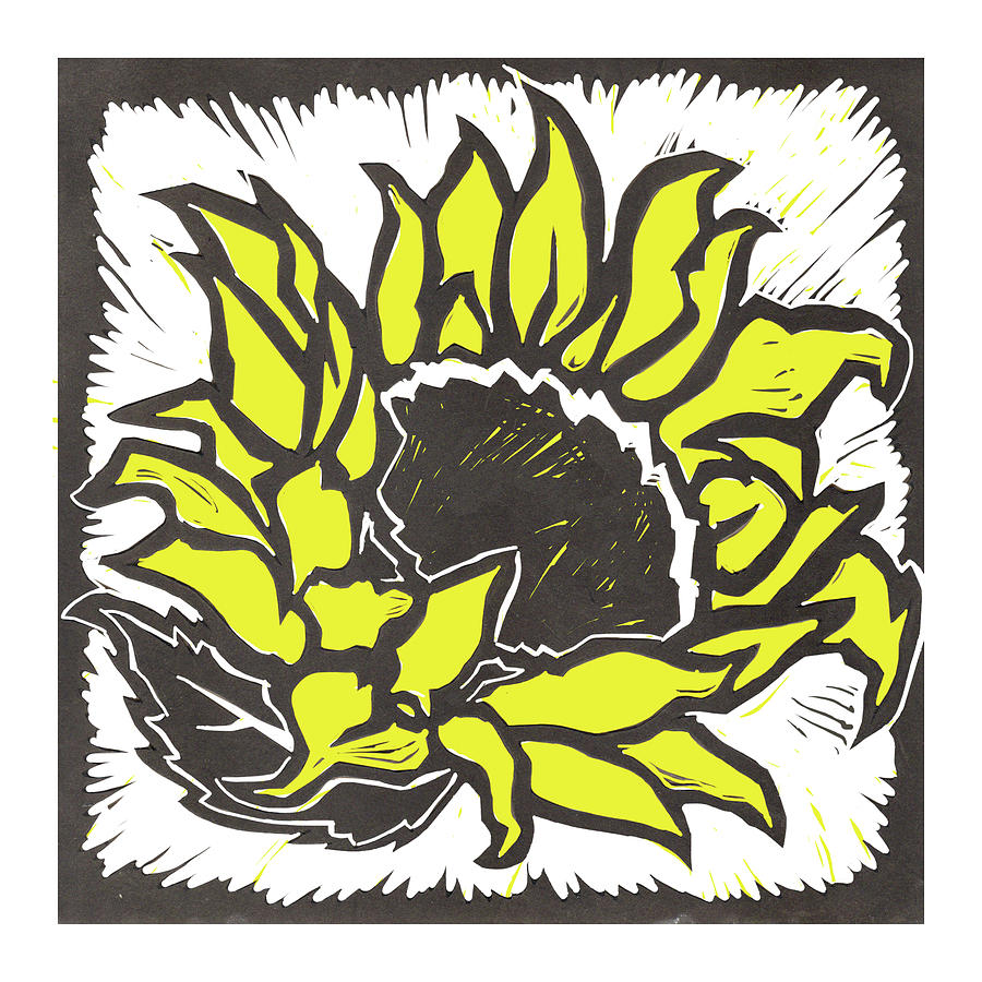 Sunflower by Matt Hood Sunflower by Matt Hood