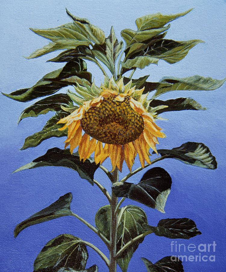 Sunflower Nodding Painting by Jiji Lee