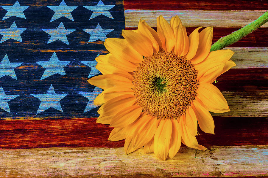 Sunflower On American Flag Photograph by Garry Gay