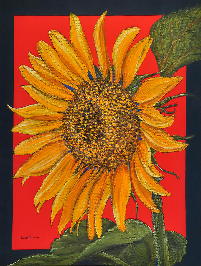 DA153 Sunflower on Red by Daniel Adams Pastel by Daniel Adams