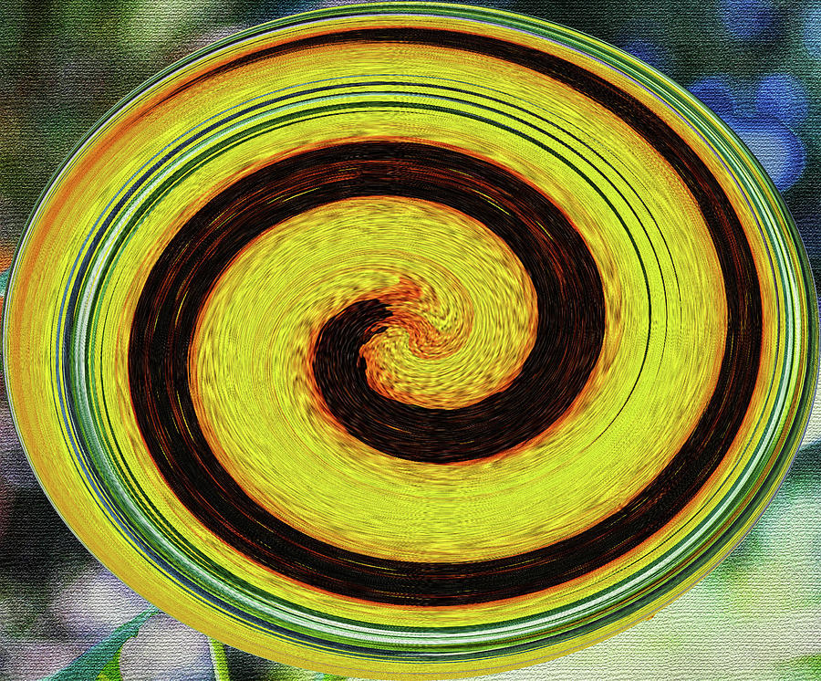 Sunflower Oval Abstract Digital Art by Tom Janca