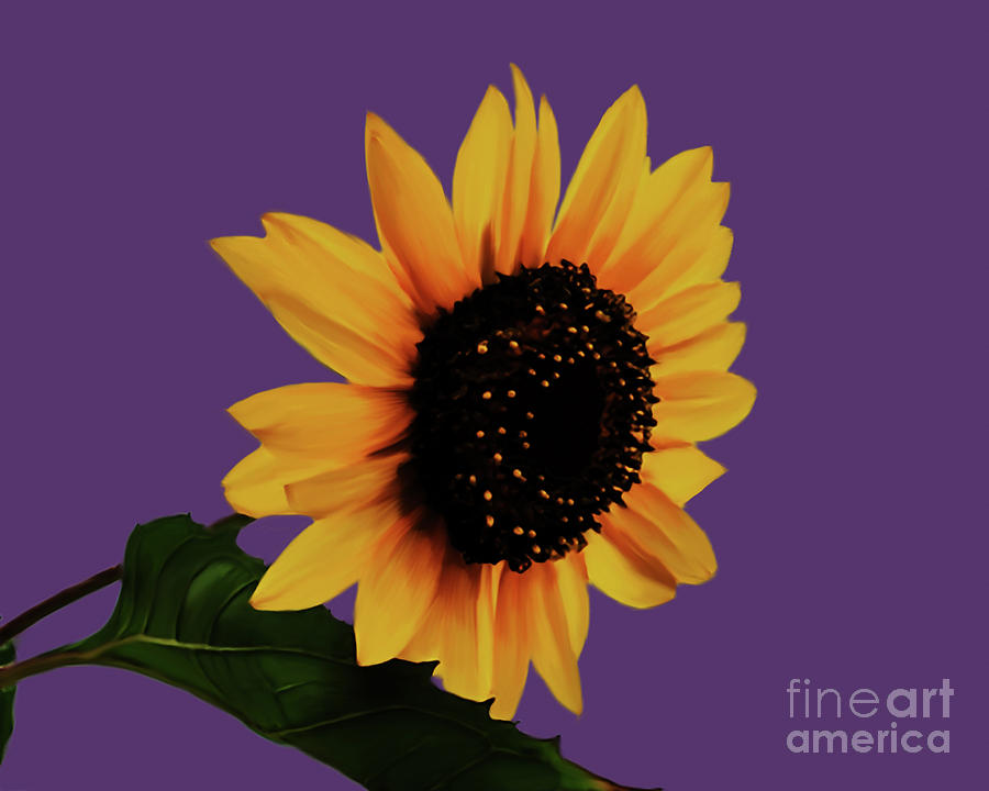 Sunflower p1 Painting by Gull G