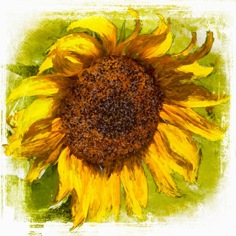 Sunflower Power Mixed Media by Barbara Chichester