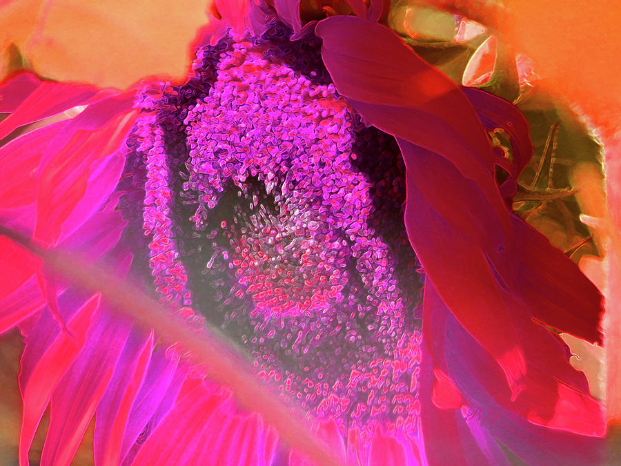 She Comes in Colors Psychedelic Sunflower - Floral Photographic Art - Manipulated Flower Photograph by Brooks Garten Hauschild