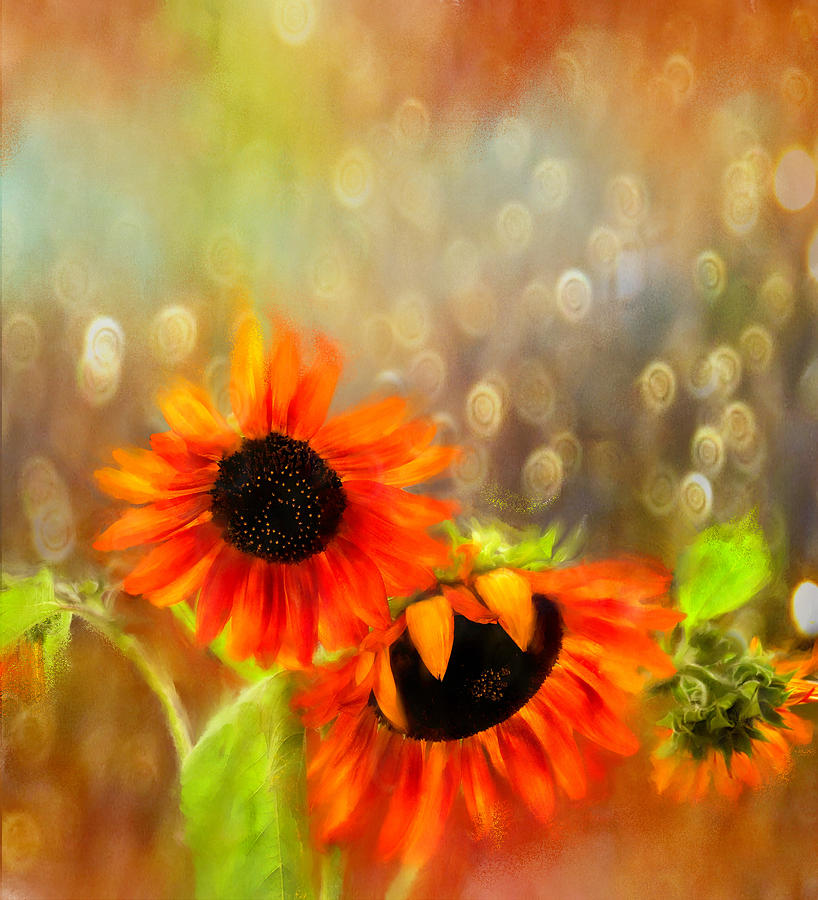 Sunflower Rain Digital Art by Sand And Chi