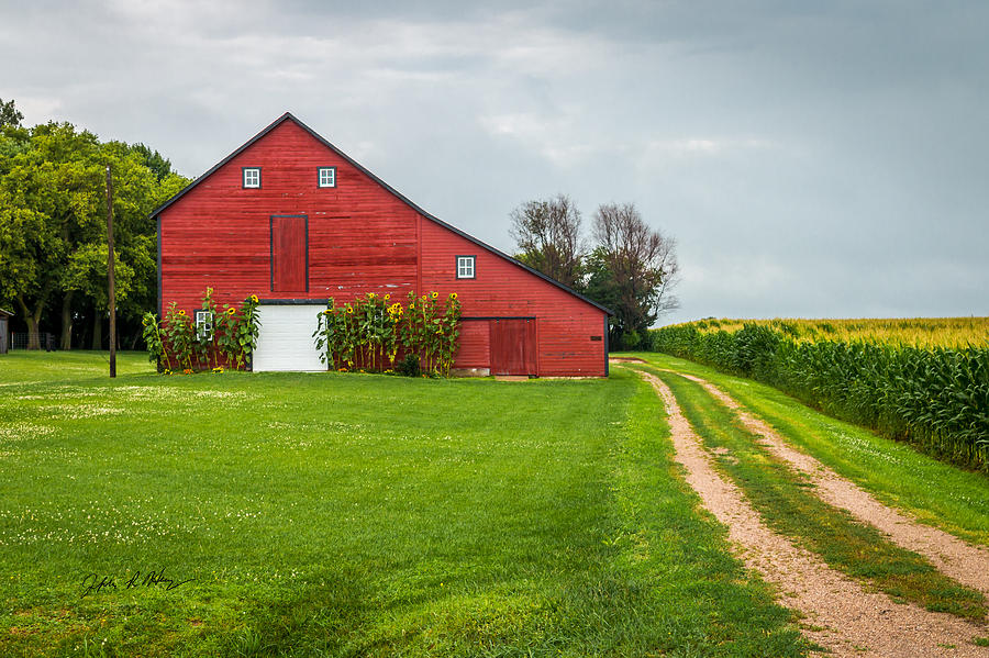 Sunflower Red Barn Photograph by Jeffrey Henry