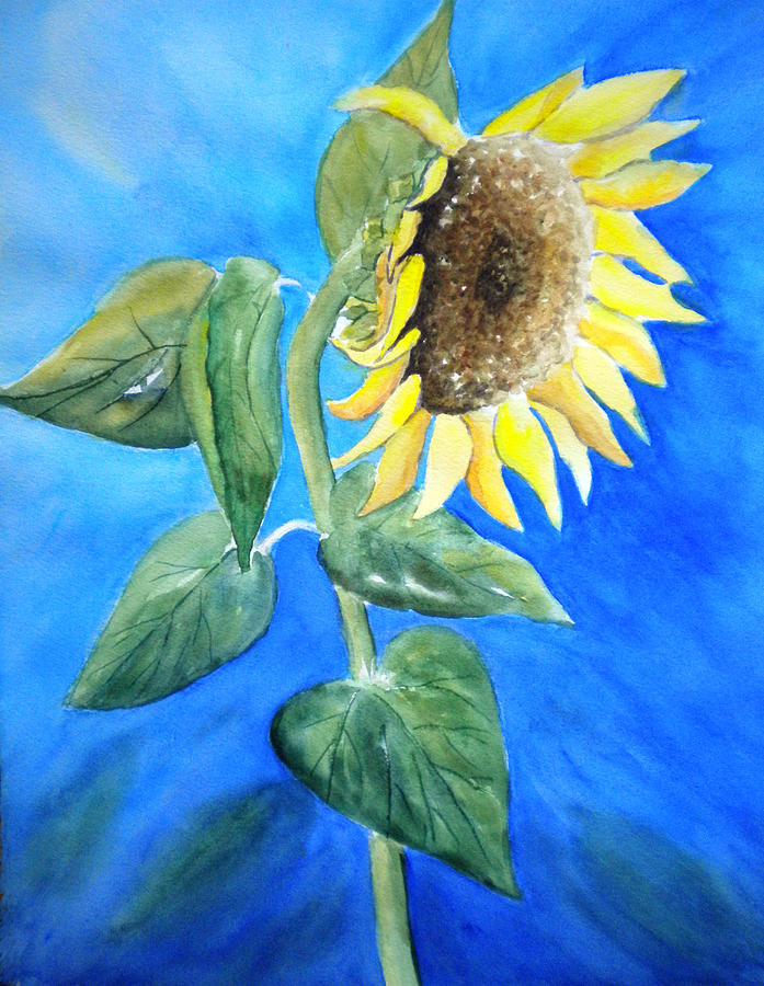 Sunflower  Painting by Sandy Fisher