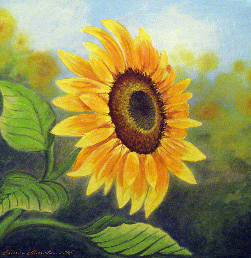 Sunflower Painting - Sunflower by Sharon Marcella Marston