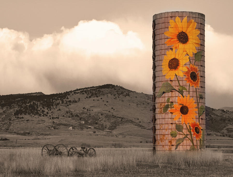 Sunflower Silo in Boulder County Colorado Sepia Color Print Photograph by James BO Insogna