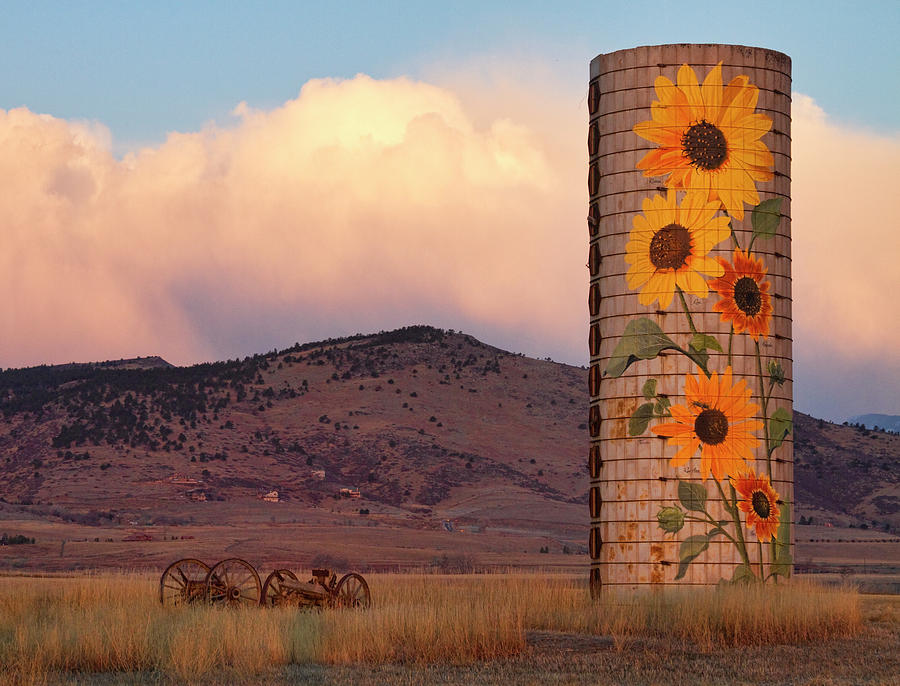 Sunflower Silo in North Boulder County Colorado Color Print Photograph by James BO Insogna