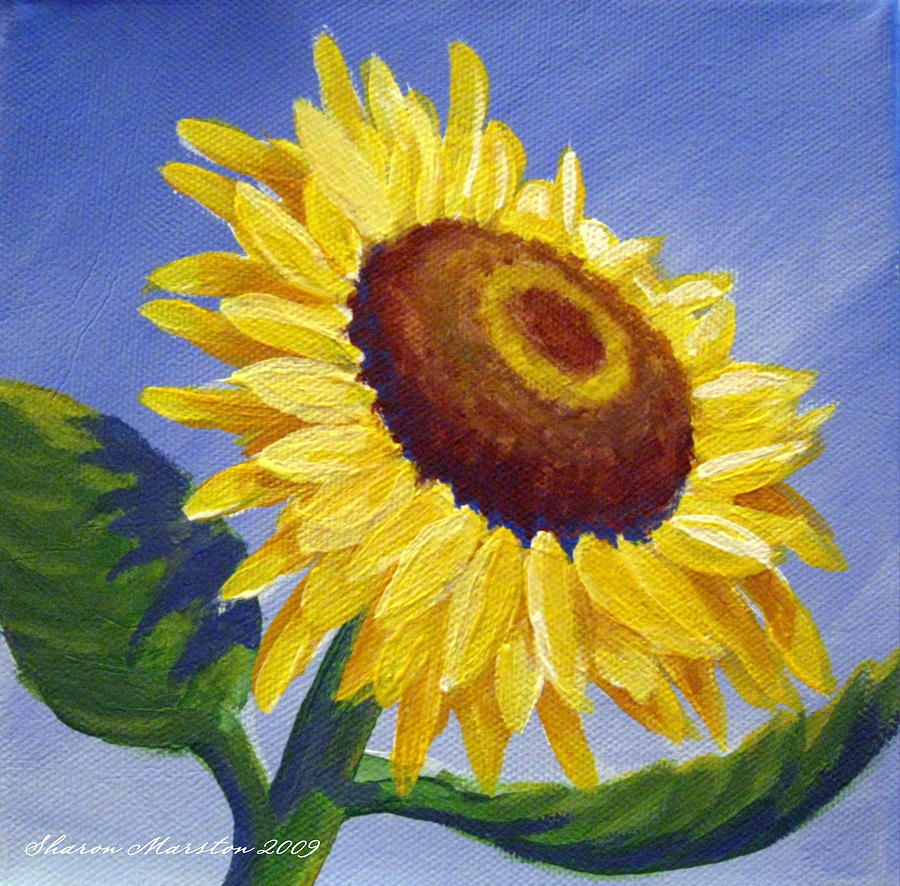 Sunflower Skies Painting By Sharon Marcella Marston 