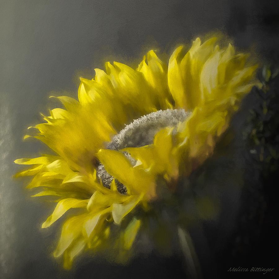 Sunflower Slumber Digital Art by Melissa Bittinger