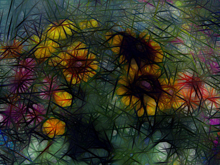 Sunflower Streaks Digital Art by Carol Crisafi
