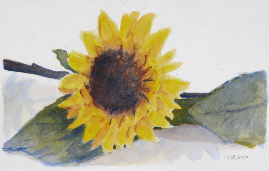 Sunflower Study Painting by Christopher Reid