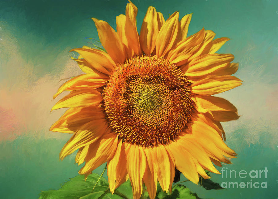 Sunflower Summer Painting by Janice Pariza