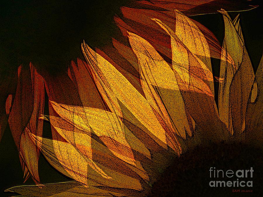 Sunflower / Sunflower Digital Art by Elizabeth McTaggart
