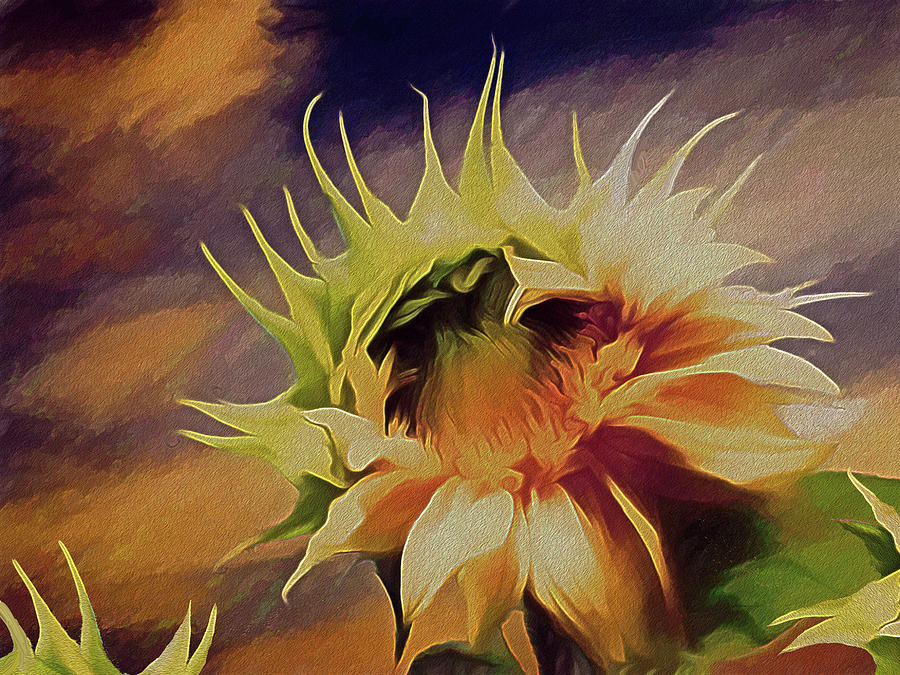 Sunflower Sunset Mixed Media by Lynda Lehmann