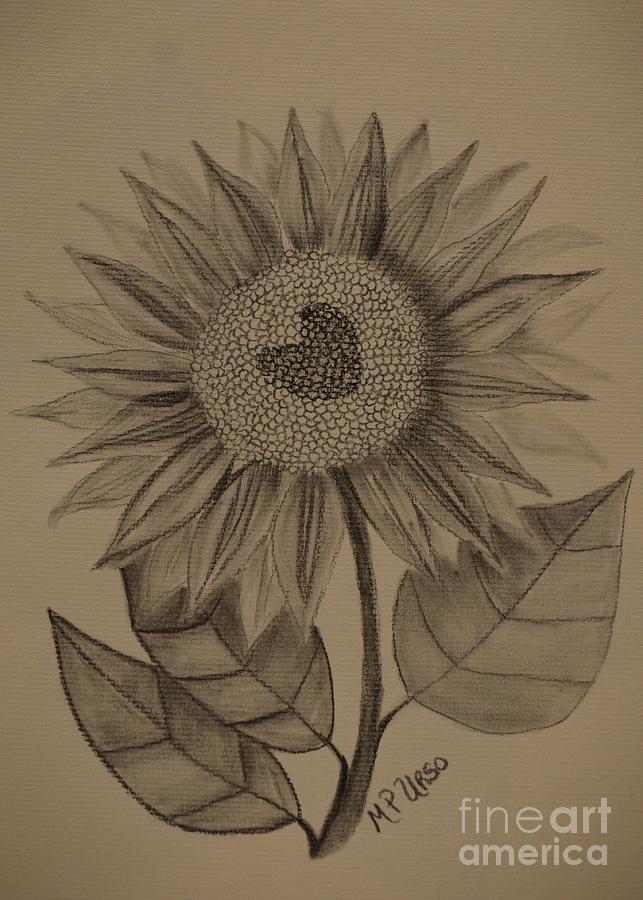 Sunflower Sway Drawing by Maria Urso